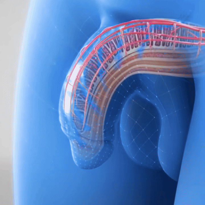 MenPulse™ | Say goodbye to erectile dysfunction in less than 28 days 9 0922 copy copy1 copy1 copy copy copy co4 ezgif.com video to gif converter